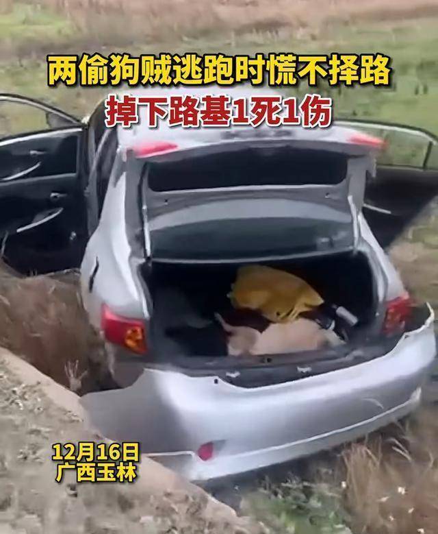 原创
2男子进村偷狗被发现，着急开车逃跑掉下路基，医生：1死1伤

