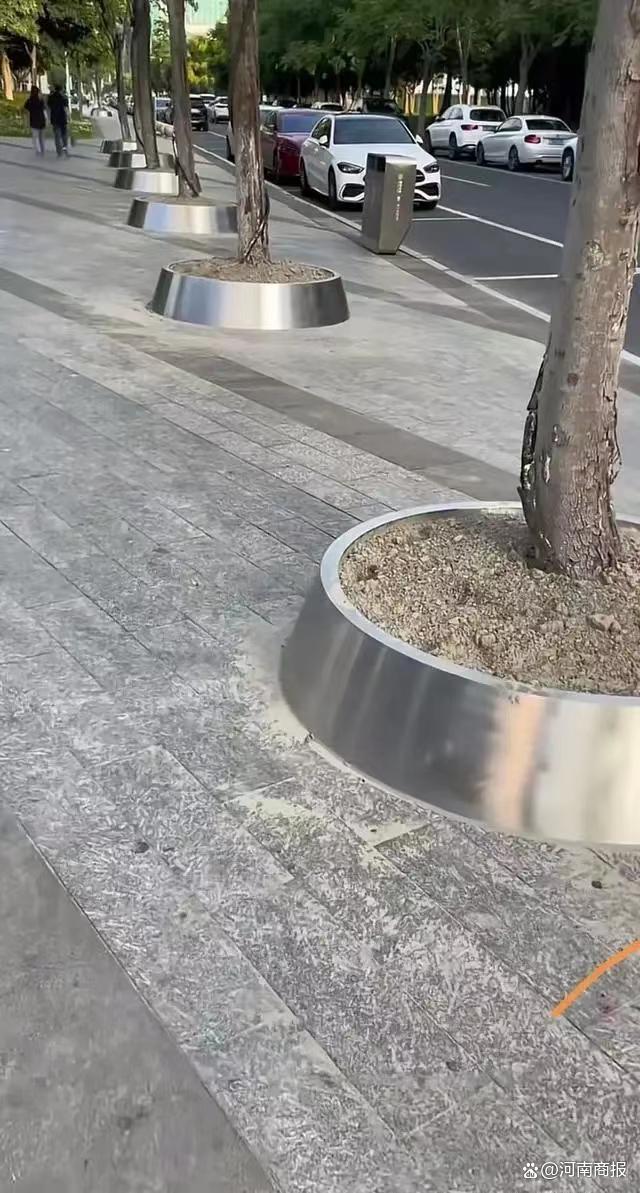 网传杭州全市装不锈钢树盆又拆除
