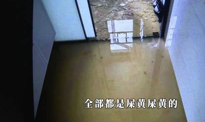 入住新房5天，家里遭粪水泡2次，女子直呼：这日子没法过了