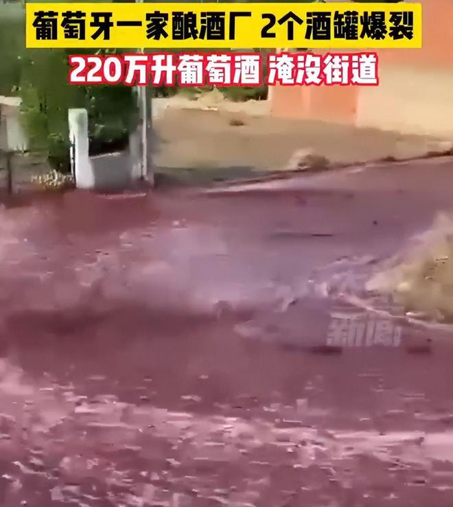 葡萄牙酿酒厂酒罐爆裂整条街被酒淹