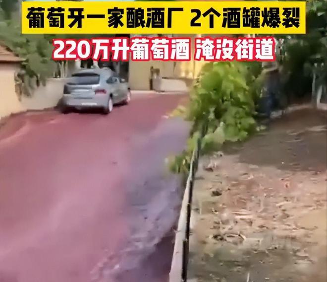 葡萄牙酿酒厂酒罐爆裂整条街被酒淹