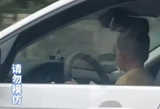 男童开陕A牌照路虎上路