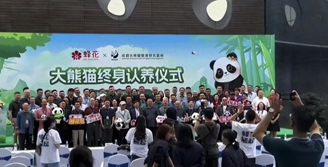 蜂花认养大熊猫