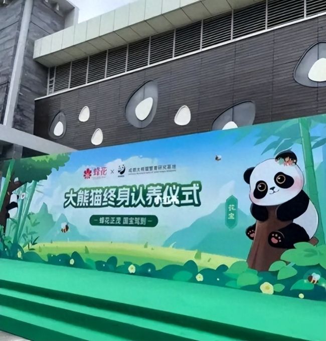 蜂花认养大熊猫