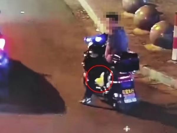 男子顺走柯尔鸭吃掉赔付8000元