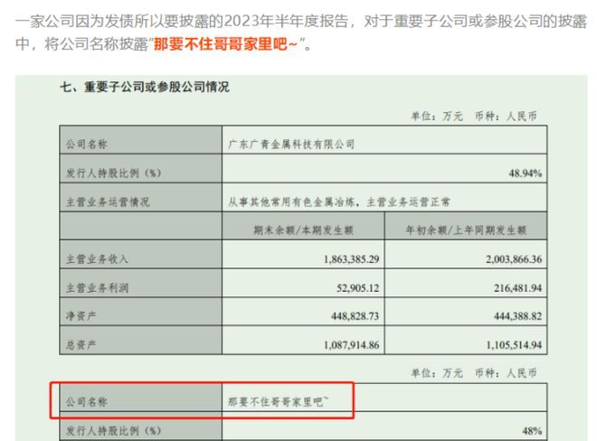 【e公司观察】“住哥哥家”式雷人公告考验信披成色