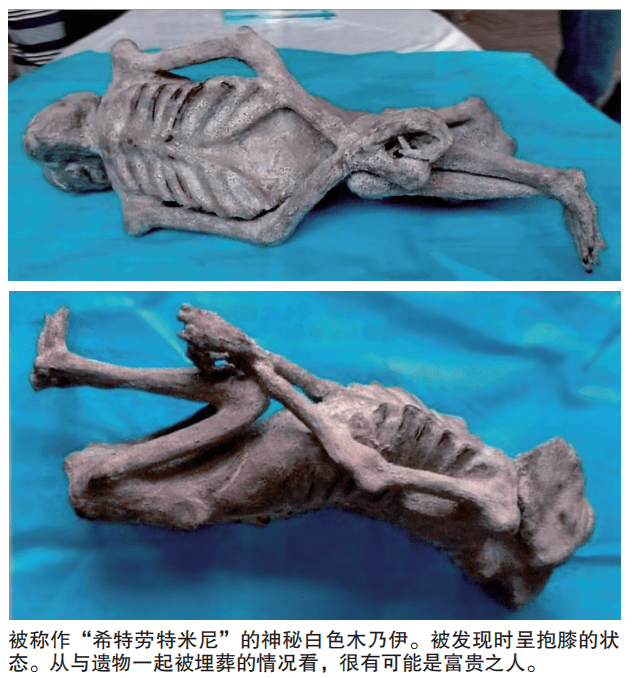 异人类“希特劳特米尼”之谜

