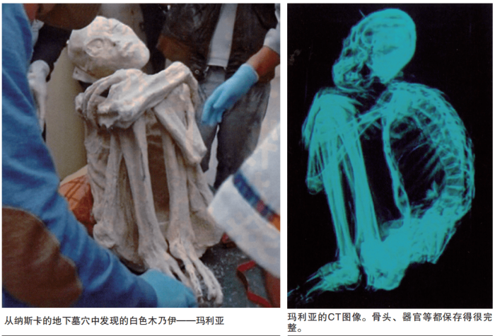 异人类“希特劳特米尼”之谜

