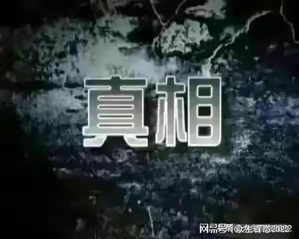 耗时五个月！北极鲶鱼事件是整个深圳公信体系的耻辱！