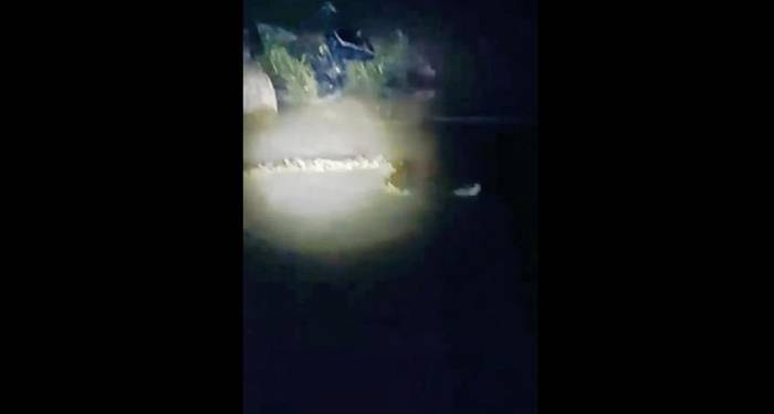 河南周口官方辟谣“河中发现巨型长虫”：系不实消息，当事人已承认视频造假

