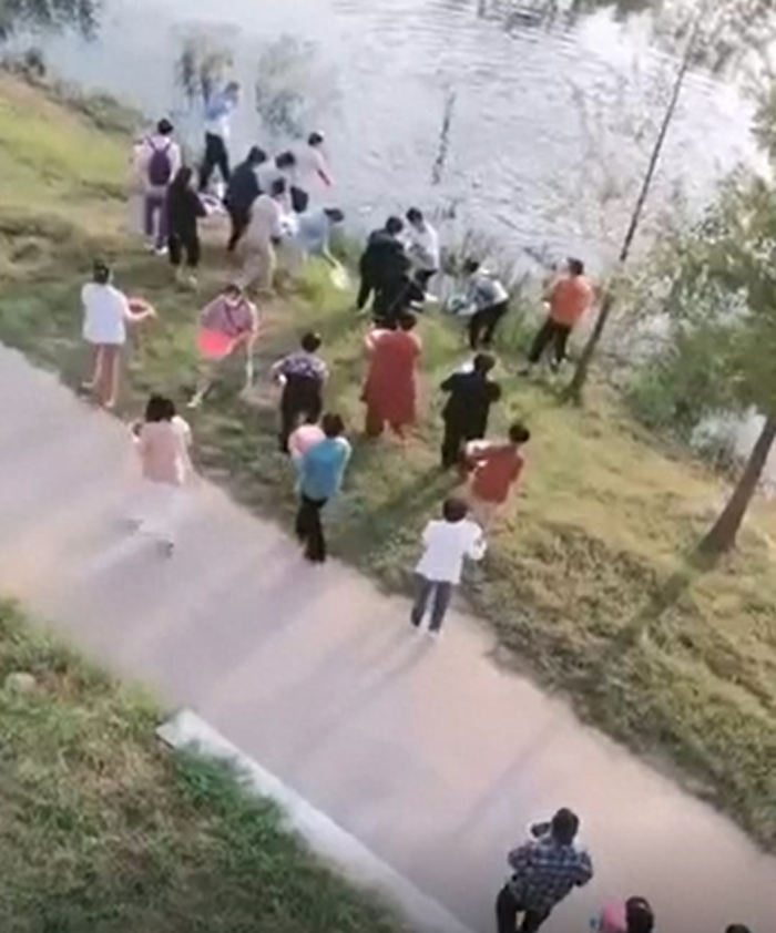多人放生百余盆蜗牛