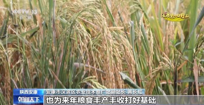在这些忙碌身影中感受丰收喜悦