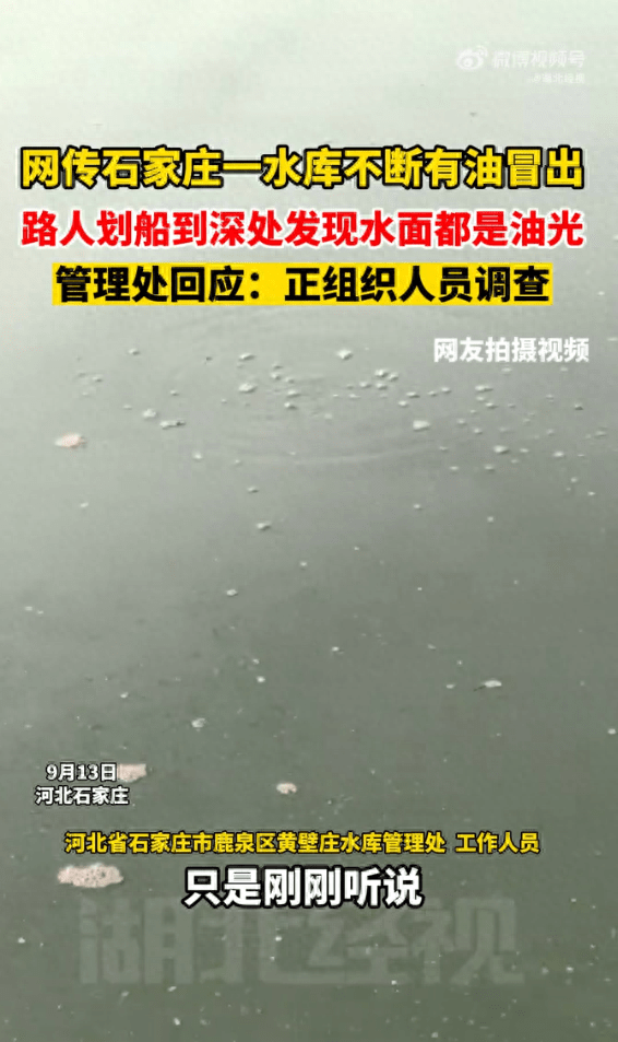 网传石家庄一水库不断有油冒出