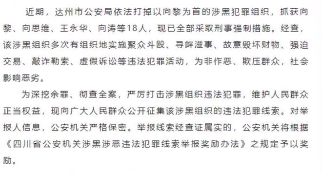 公安端黑老大校长