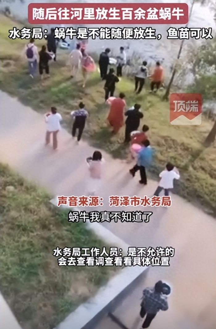 多人在河边转圈念经放生百余盆蜗牛