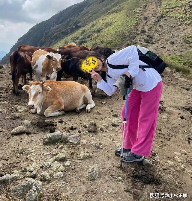 离婚父母送女儿上学