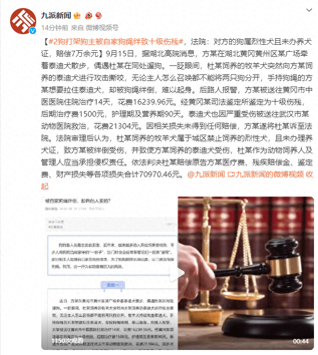 2狗打架狗主被自家狗绳绊致十级伤残，法院：对方的狗属烈性犬且未办养犬证，赔偿7万余元

