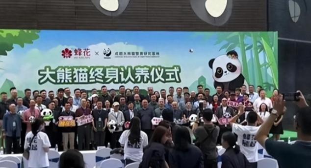 蜂花官宣认养一只大熊猫国货品牌的责任担当也相信这只会给蜂花带来更多的好运和成功