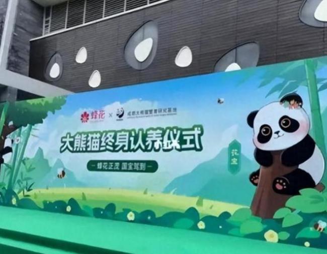 蜂花官宣认养一只大熊猫国货品牌的责任担当也相信这只会给蜂花带来更多的好运和成功