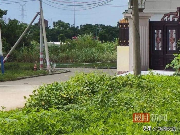抓捕行动进入第4天！71条鳄鱼出逃最新进展来了

