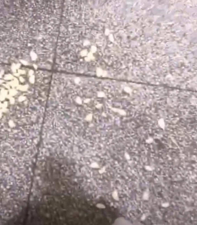 江西一菜市场摊主用脚给蒜分瓣扒皮，网友：既新鲜又热乎


