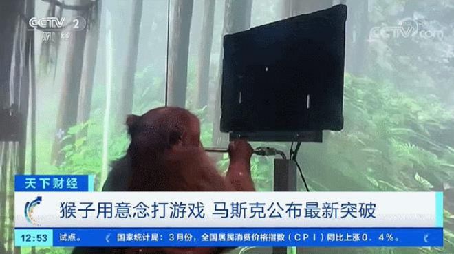 脑机公司将人体试验