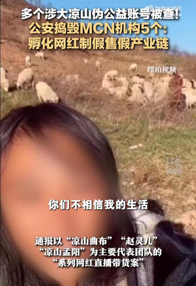 凉山多名百万级网红被捕，涉案金额超千万