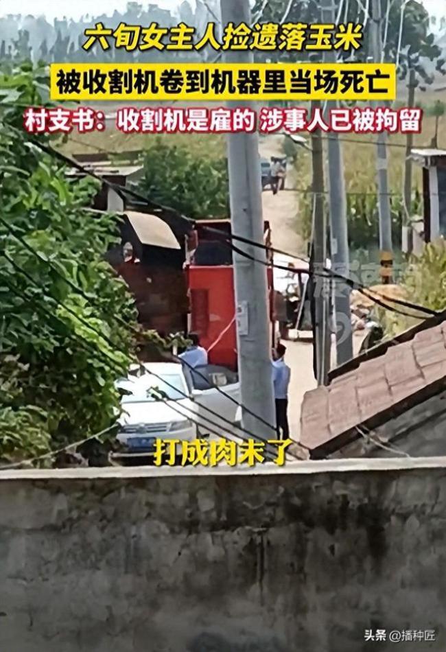 派出所回应农妇被卷入收割机身亡