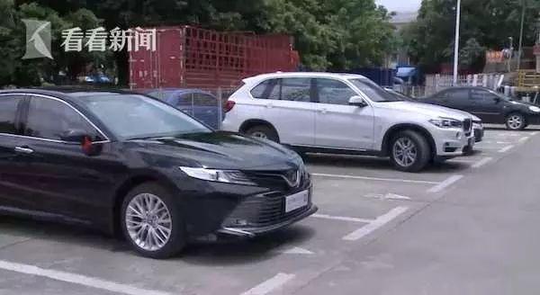 男子在新车内发现大量蚂蚁