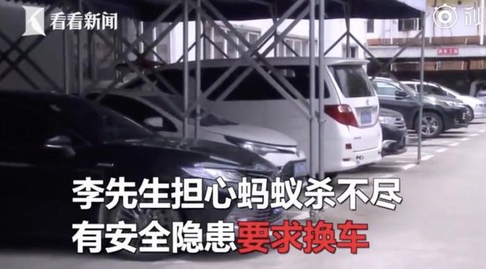 男子在新车内发现大量蚂蚁
