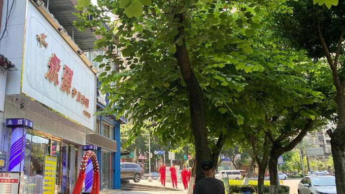 媒体评女职校生实习成色情服务