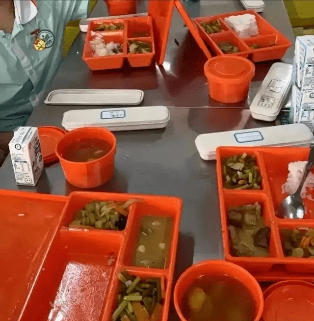 校门口人山人海！预制菜进校园后，家长们集体送饭

