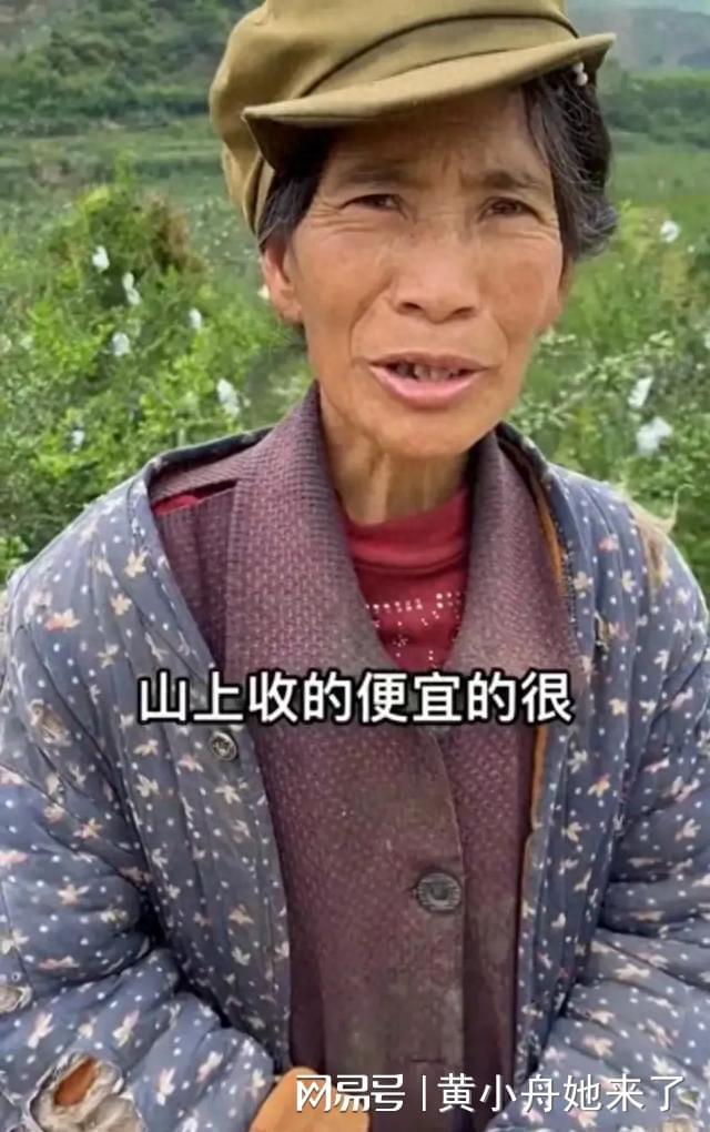 一个9岁小男孩和他的奶奶卖石榴，令人心酸，竟然是为了凑学费