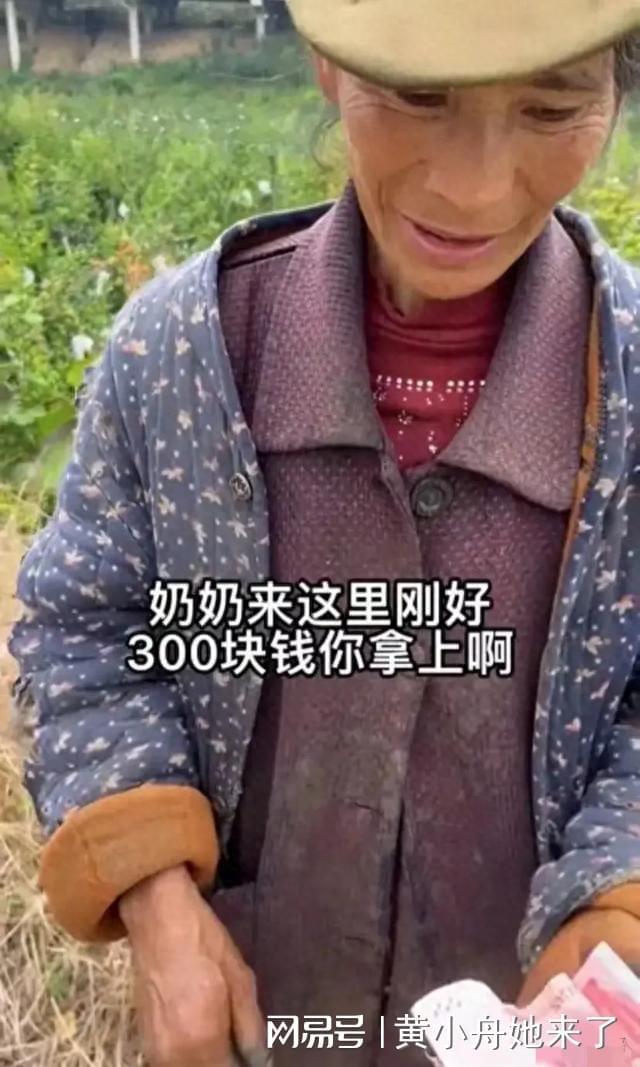 一个9岁小男孩和他的奶奶卖石榴，令人心酸，竟然是为了凑学费