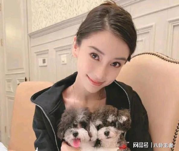 叶珂登堂入室！杨颖紧急搬离黄晓明上亿豪宅，儿子小海绵罕见出镜