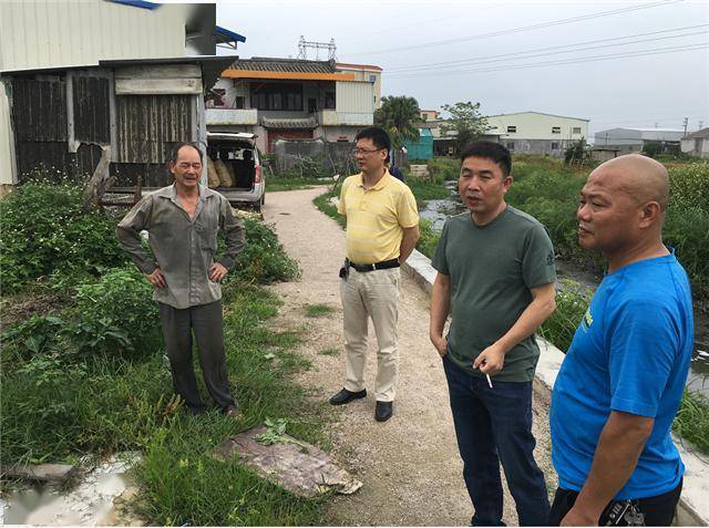 潮阳、潮州大量鱼跳上岸？电视台，地震局都来现场....

