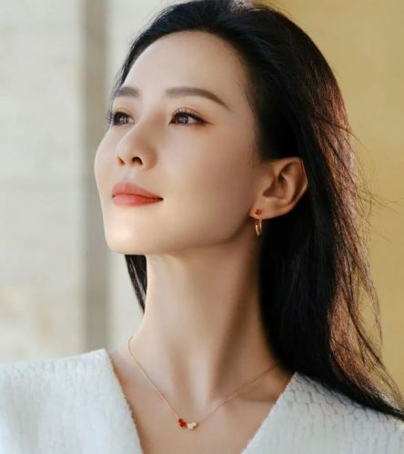 刘诗诗回应不上常驻综艺