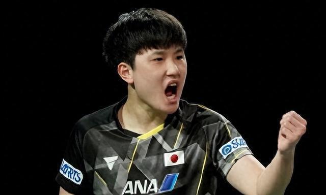 张本智和2比3伊朗选手