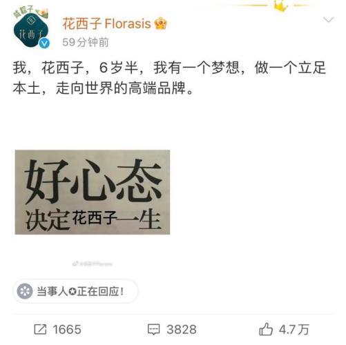 发疯文学难救花西子