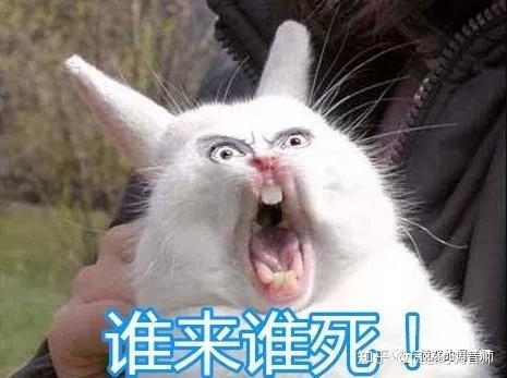 婚礼前夕，婚庆公司突然撤场，新人该怎么办？
