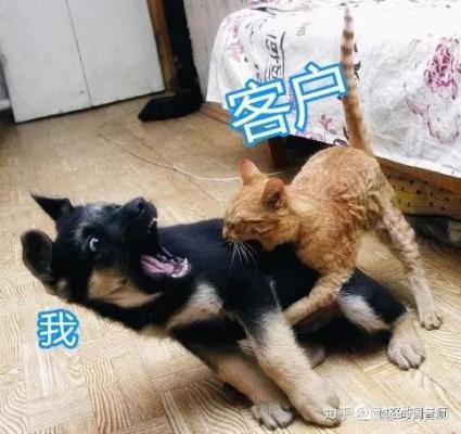 婚礼前夕，婚庆公司突然撤场，新人该怎么办？