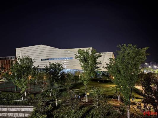 大学生掉入化粪池遇难今日下葬校方副校长已被免职