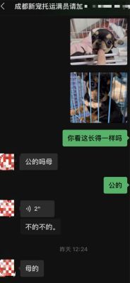 网上买狗遭调包品种性别全变狗粮捆绑销售