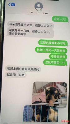 网上买狗遭调包品种性别全变狗粮捆绑销售