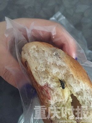 好利来面包店卫生状况堪忧，苍蝇乱飞引关注
