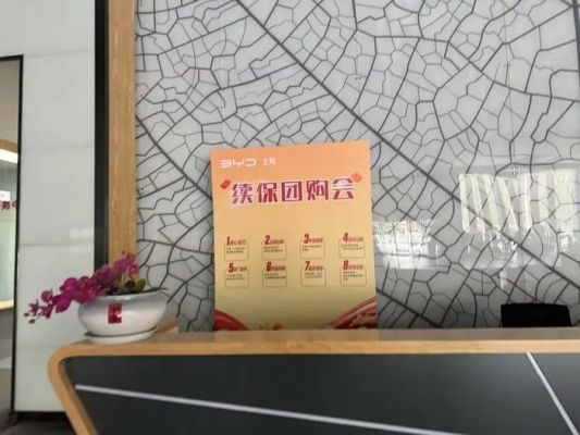 比亚迪山东核心经销商停摆：20多家4S店人去楼空