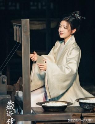《藏海传》平津侯因谋反被斩首示众