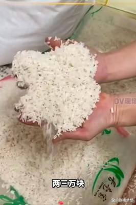 广东肇庆广宁县遭遇暴雨袭击，多地水浸导致车辆被冲走