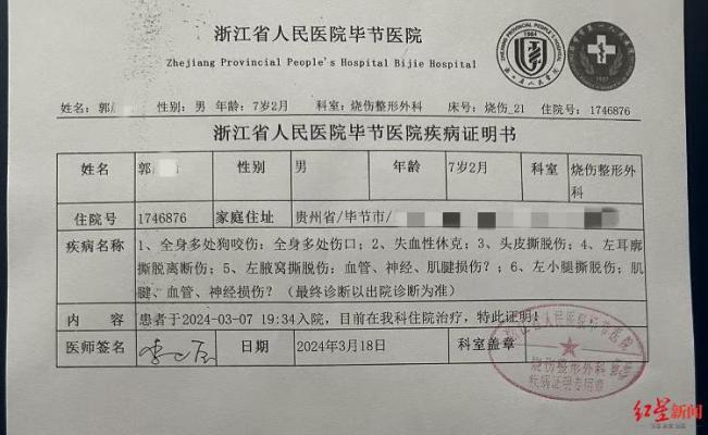 7岁男童被三只恶犬撕咬致死