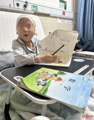 7岁男童被三只恶犬撕咬致死